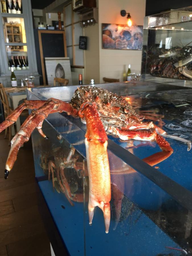 La Table De Jeanne Hotel Erquy Eksteriør billede